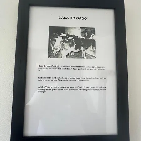 Διαμέρισμα Casa Solar Do Tristao