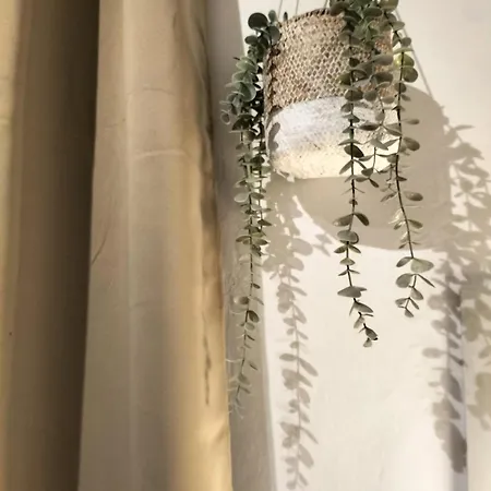 Casa Solar Do Tristao