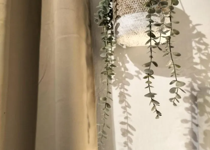 Casa Solar Do Tristao