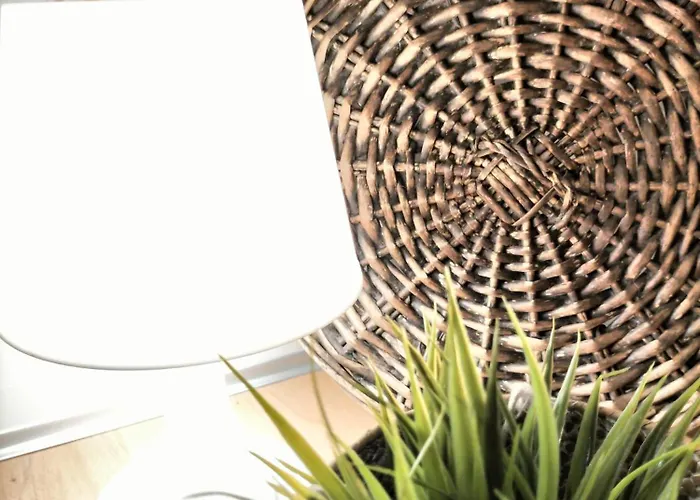 Casa Solar Do Tristao 公寓