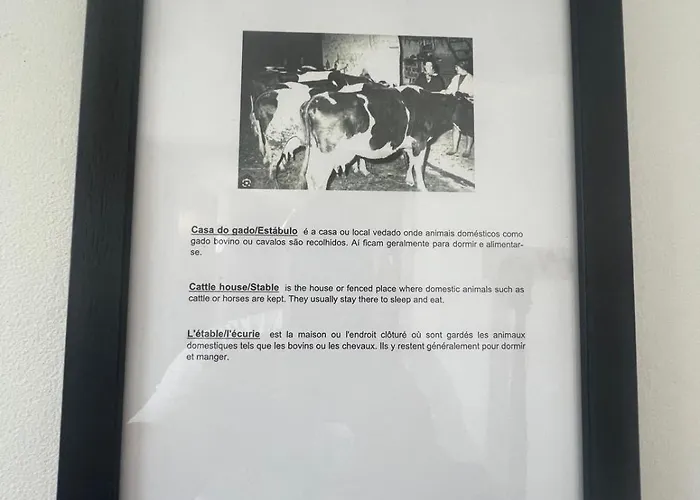 公寓 Casa Solar Do Tristao