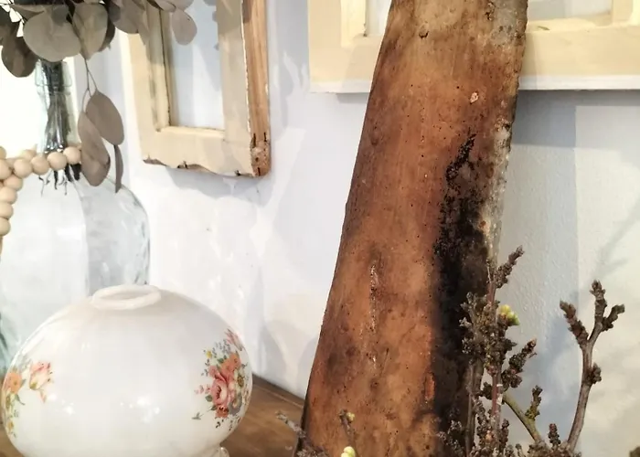 Casa Solar Do Tristao 公寓 Santa Maria Madalena