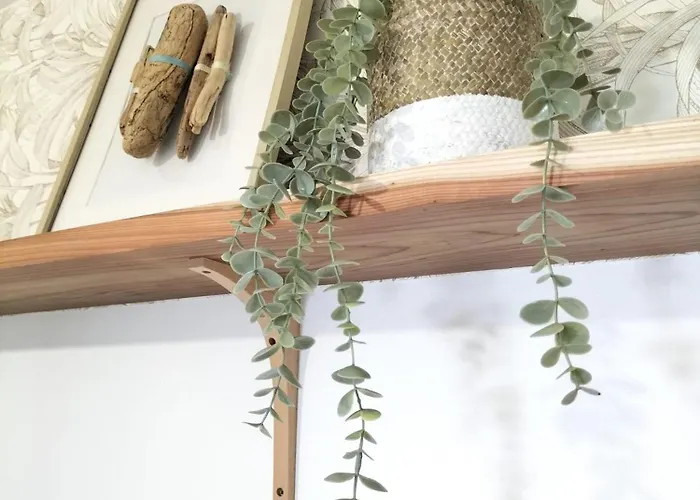 Casa Solar Do Tristao 公寓