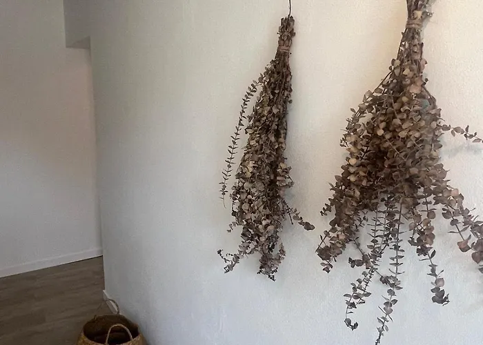 公寓 Casa Solar Do Tristao